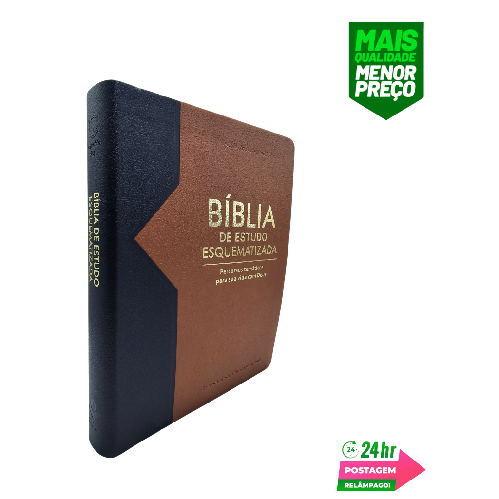 Bíblia Estudo Esquematizada: Onde Comprar | BuscaProdutos