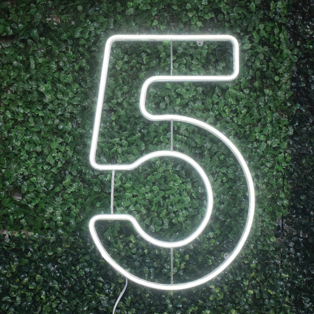 Luminária Led Neon Número 5 50cm Decoração Festa Aniversário Painel Luz Iluminação em Oferta na Shopee