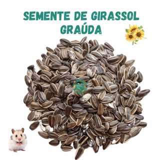 Semente de Girassol Graúda, para Roedores e Aves em Oferta na Shopee