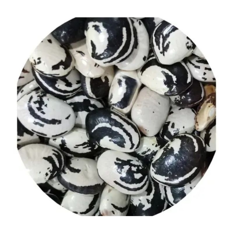 Feijao Fava Rajada - Comprar com Melhor Preço em Alimentos Básicos