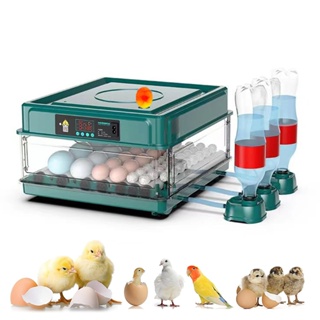 Chocadeira Automática 48 Ovos 110/220V para Galinha Pato Codorna Incubadora de Ovos em Oferta na Shopee