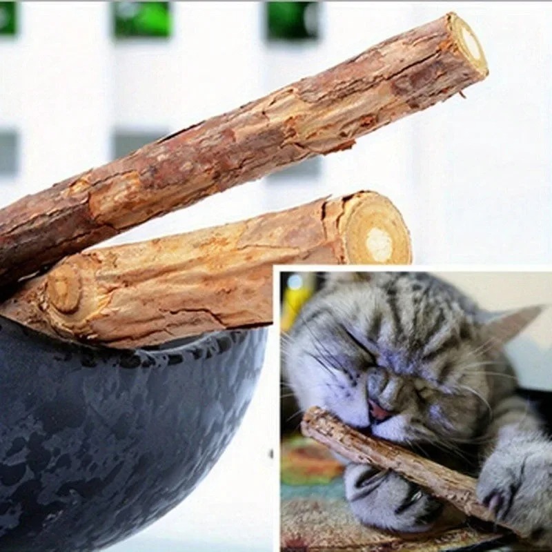 Matatabi para Gatos Natural – Graveto Estimulante para Brincar, Relaxar e Higiene Bucal Com 5 , 10 e 15 Unidades