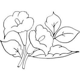 Kit Para Pintura Adulta 200 Desenhos Para Colorir Arteterapia Flores Plantas Cestas de Flores