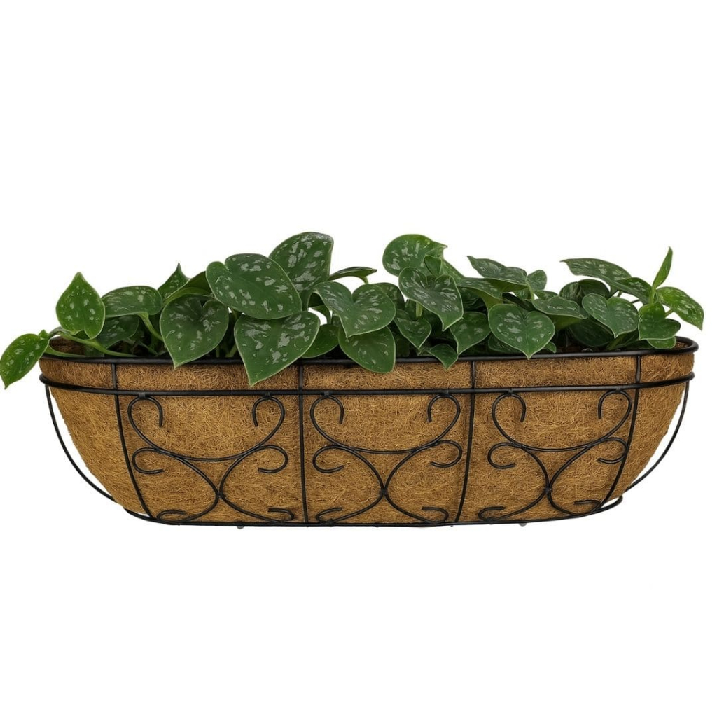 Vaso Jardineira de Fibra de Coco 60cm e Suporte Para Parede