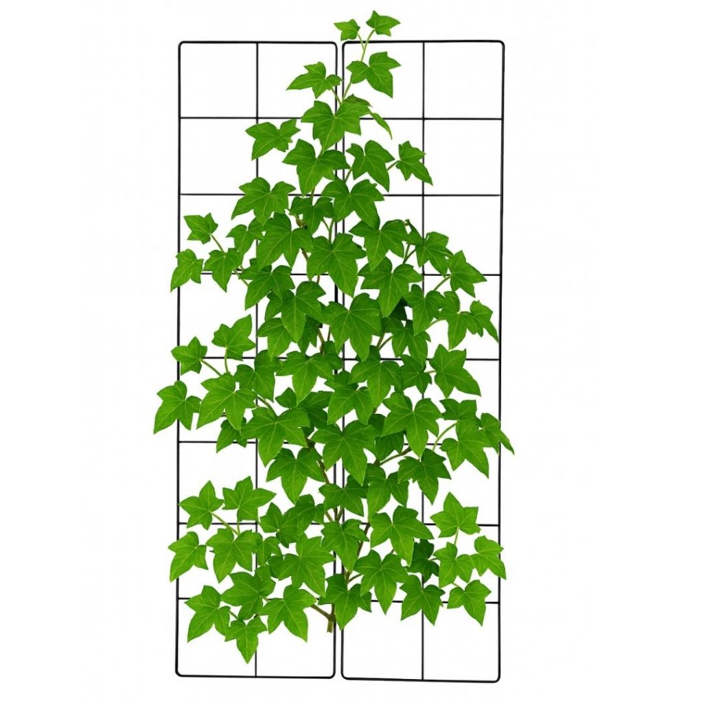 Suporte Para Jardim Vertical Painel Treliça de Ferro 80x40cm