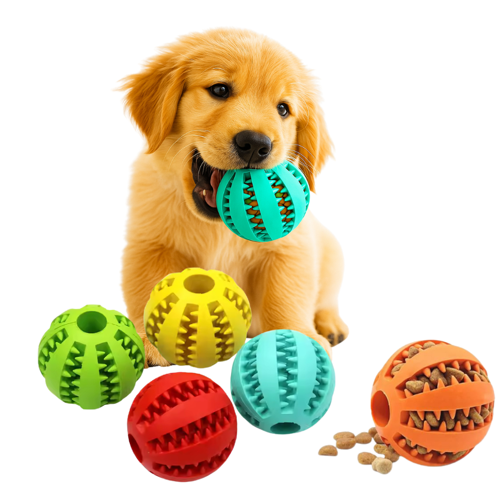 Ninho Bola: Guia Completo e Onde Comprar | BuscaProdutos