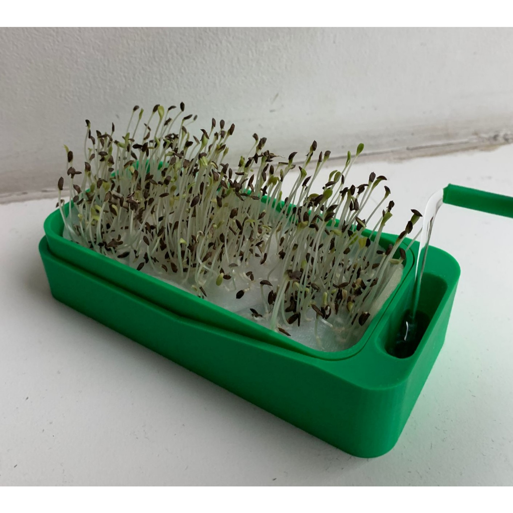 Vaso para Germinação de Sementes Cultivo Grow Indoor Outdoor Resistente Impresso em 3D PETG