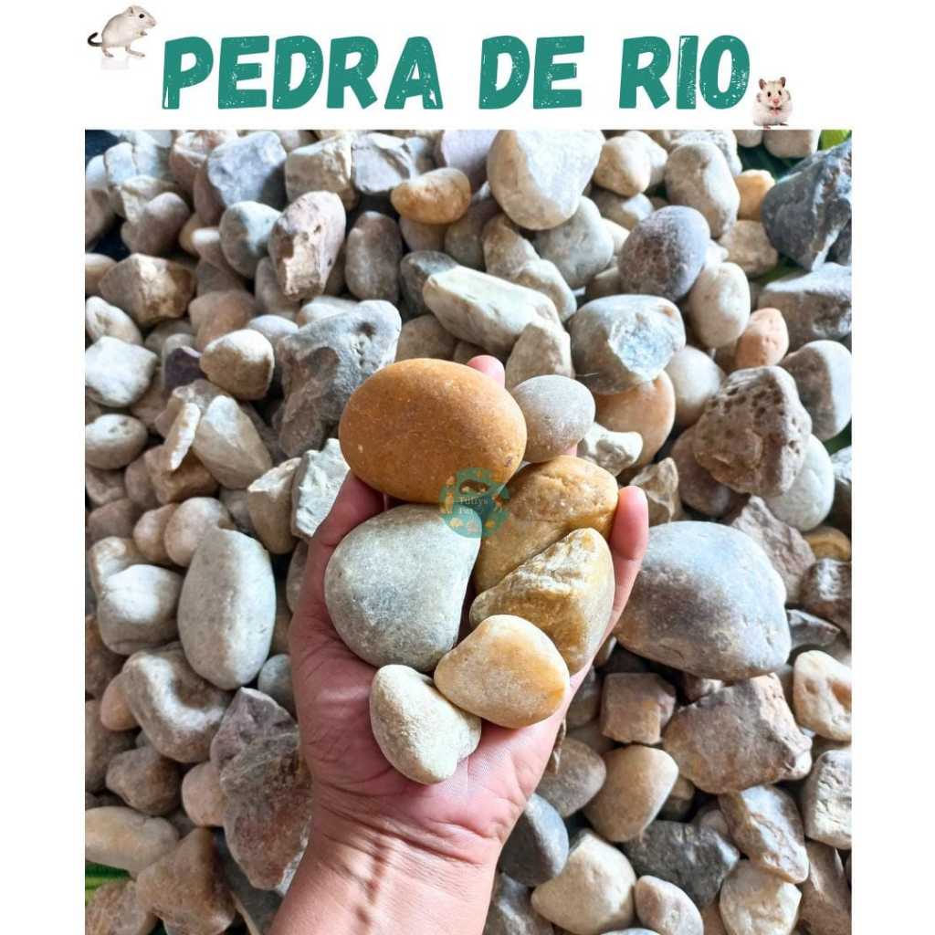 Pedra de rio, seixo natural para desgaste de unhas, pote de água, roedores hamster,gerbil. em Oferta na Shopee