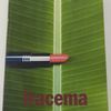 Iracema / José de Alencar