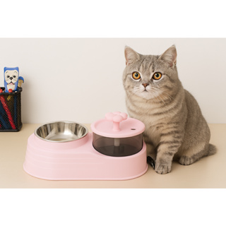 Fonte de Agua para Gatos Bebedouro Automático com Comedouro Inox Regulável Plástico USB Pet em Oferta na Shopee