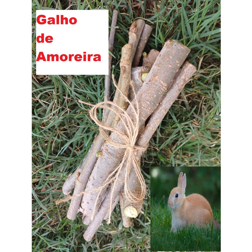 Brinquedo para Roedores Galho de Amora Natural Para Roedores e Aves, como Coelho Hamster Chinchila