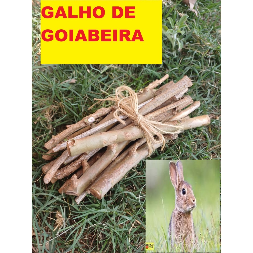 Brinquedo para Roedores Galhos de Goiabeira Natural para Roedores como Coelhos, Hamster  Chinchila