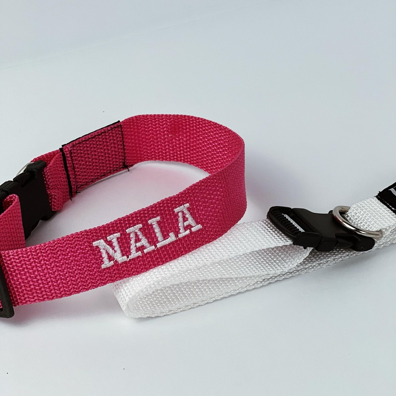 Coleira personalizada com nome do cachorro-nylon P, M e G em Oferta na Shopee