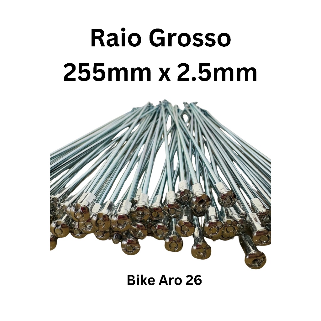 Raios Aro 26 Grosso: Onde Comprar | BuscaProdutos
