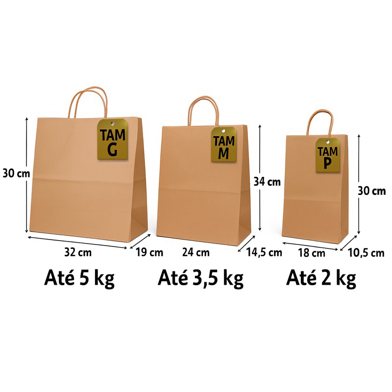 Sacola De Papel 25 UNID Tam P M ou G Kraft Lisa Na Cor Pardo -  Para Presente Delivery Food com Alça em Oferta na Shopee