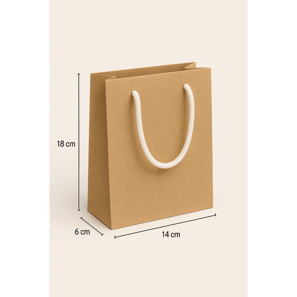 Sacolas Parda De Papel 10 a 50 Unidades Bolsa Festa Lembrancinha Surpresa 120 gr — imagem 2 de 2