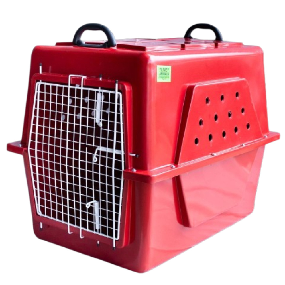 Caixa Kennel de Transporte N4 p/ Embarque Aéreo + canecas