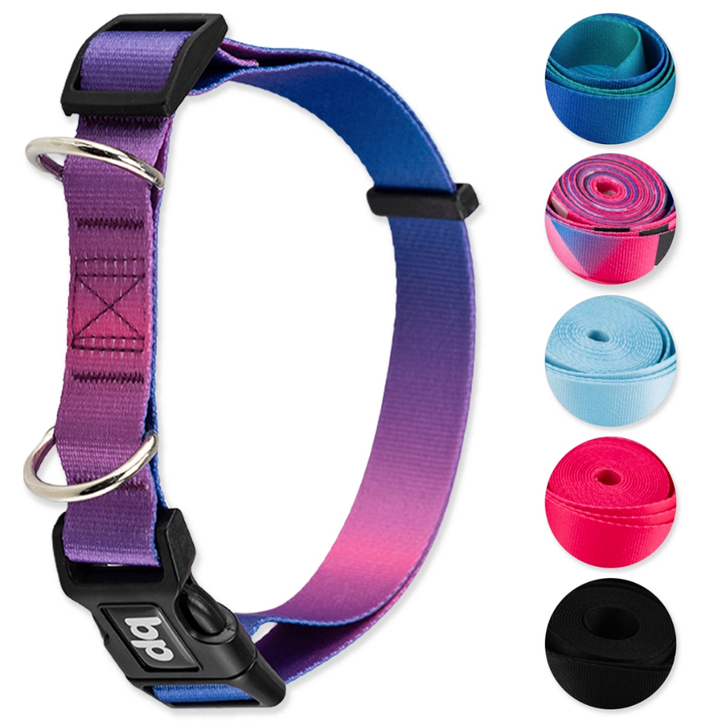 O que é Coleira Adestramento Cachorro? Guia e Onde Comprar | BuscaProdutos