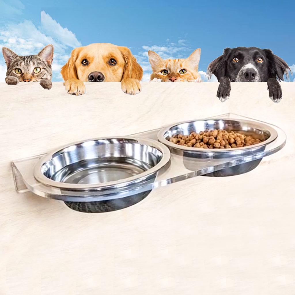 Comedouro Pet para Parede Elevado Acrílico Transparente Cão e Gato Bebedouro/Comedouro Vasilha Inox em Oferta na Shopee