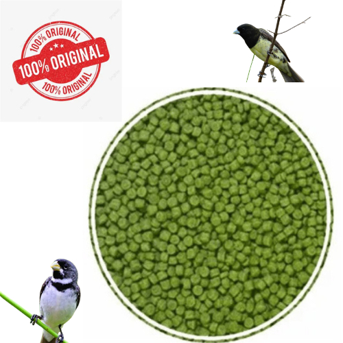 Alcon Club Coleiro Green Super Premium em Oferta na Shopee