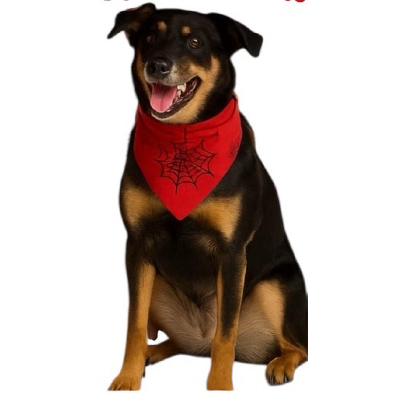 Bandana de cachorro gatos personagens Pet Charm