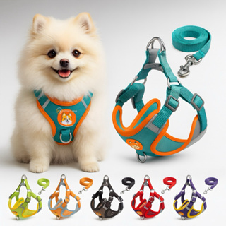 Coleira Peitoral Cachorro E Gato, Conjunto De Guia + Coleira Colete Para Pet Pequenos E Médios em Oferta na Shopee