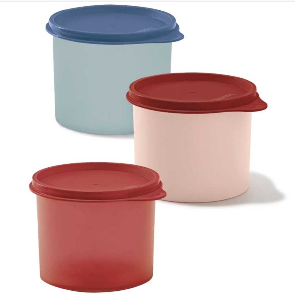 Tupperware Pote Redondinha 500ml Aleatória