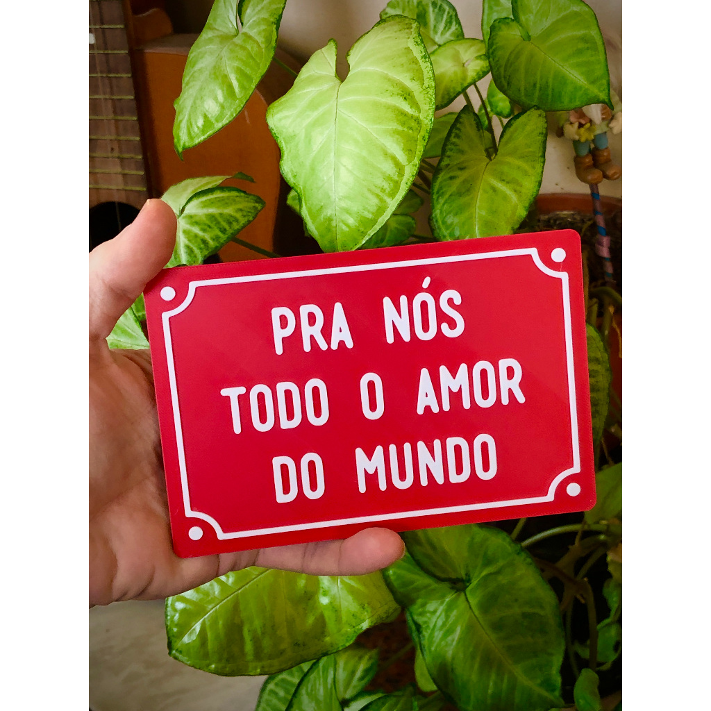 Plaquinha decorativa (10X15CM) PRA NÓS TODO AMOR DO MUNDO frases (PLAca em plastico imitando de rua)