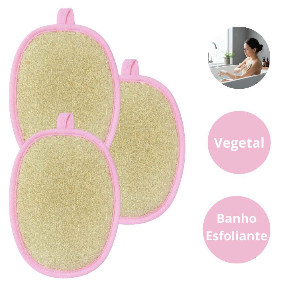 Bucha Vegetal para Banho: Onde Comprar | BuscaProdutos