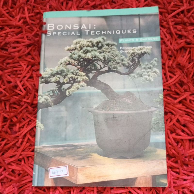 Bonsai special techniques (667m)