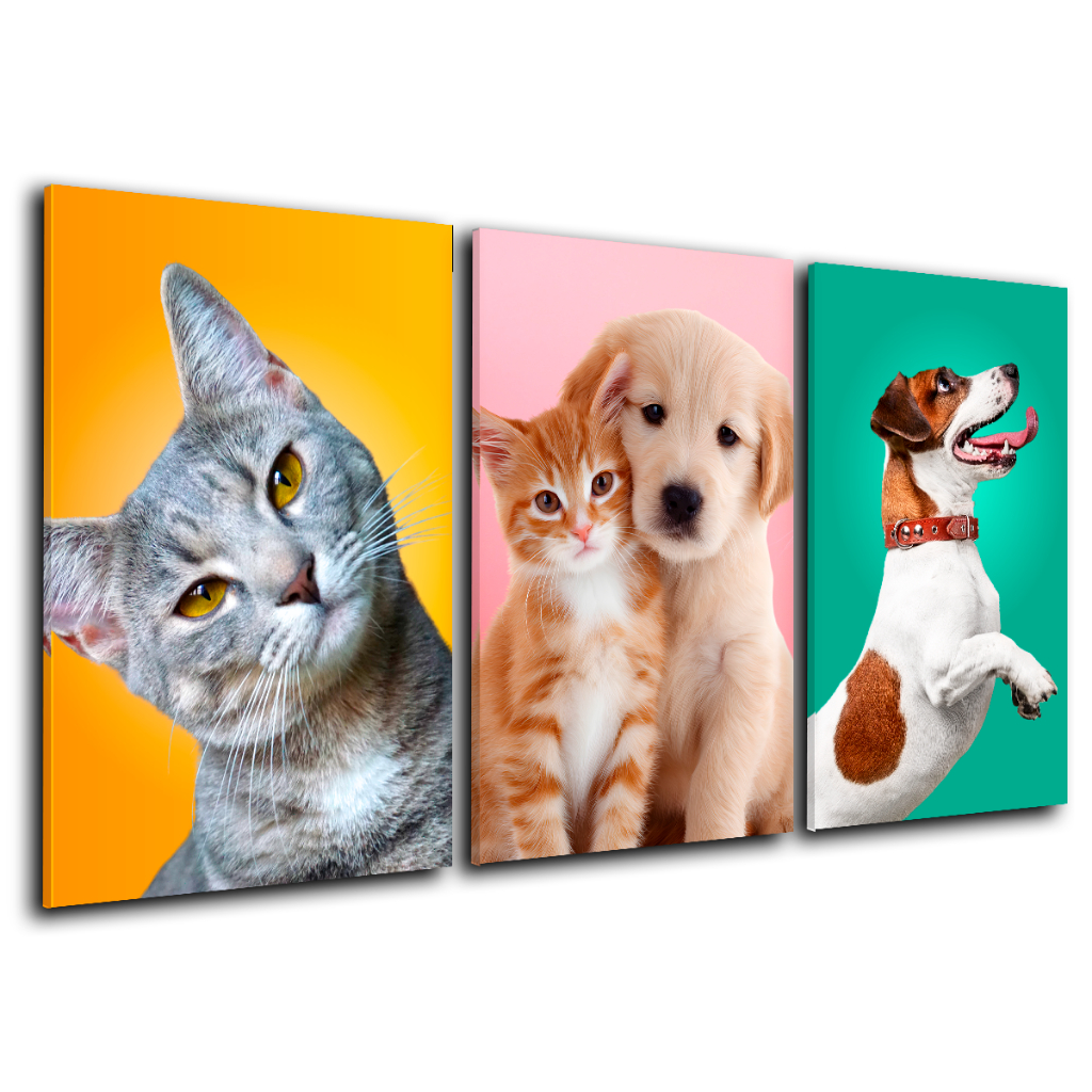 Quadros Decorativos Pet Shop Tosa Cachorro Gato Veterinário