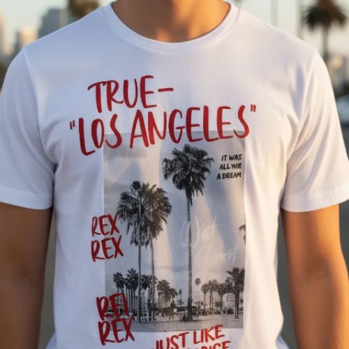 Conjunto Menino Curto Camiseta e Shorts - Rei Rex