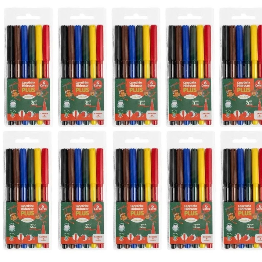 Kit 12 Hidrocor Lavável 6 Cores Canetinha Plus Estojo Leo&Leo