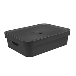 Caixa organizadora Ou 16L Linha com tampa Linha Cube