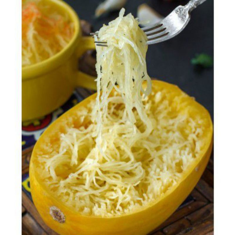 50 Sementes Abobrinha Espaguete bavete Macarrão.