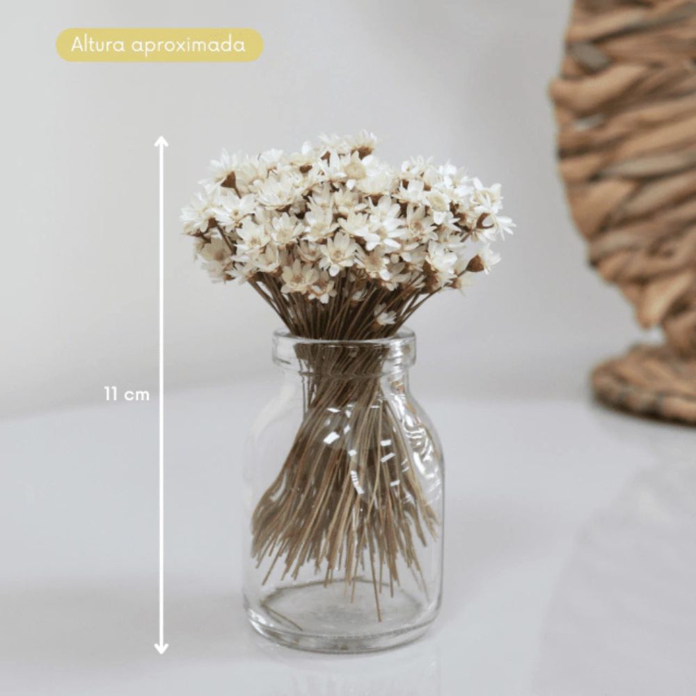 Mini Vaso de Vidro com Folhagem Sempre Viva Bege 11cm -  Decoração Sala, Quarto, Aparador, Banheiro