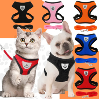 Guia Coleira de Malha Flexível com Colete Peitoral Ajustável para Cão Cachorro Gato Animais em Oferta na Shopee