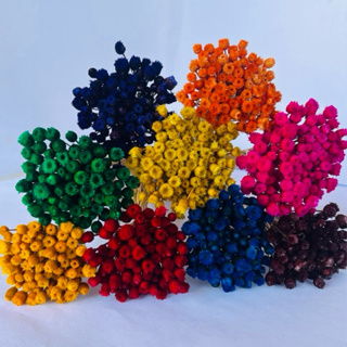 kit com até 500 Flor Sempre Viva Jazida, Jazidas Coloridas, Flor seca, Flor desidratada em Oferta na Shopee