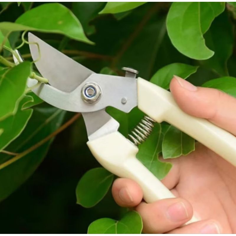 Tesoura 17,5cm Alicate De Poda E Cortar Cabo De Plástico Ponta De Metal Para Jardim Jardinagem Plantas 15694
