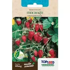 Semente Morango Topseed 60 mg