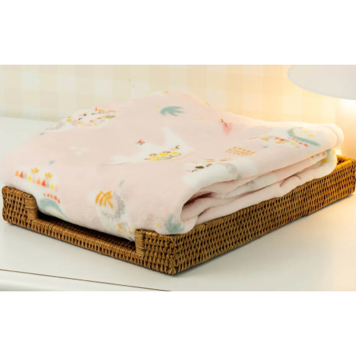 Cobertor Bebê Flannel 300g/m² Estampado Manta Antialérgico Com Caixa Menina Menino Camesa 90x110 em Oferta na Shopee