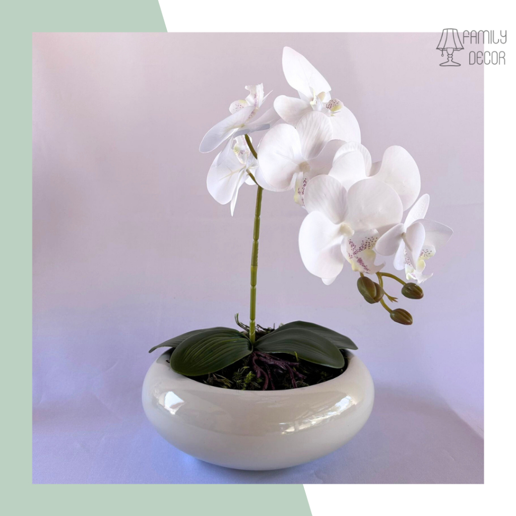 Bacia de Cerâmica: Onde Comprar | BuscaProdutos