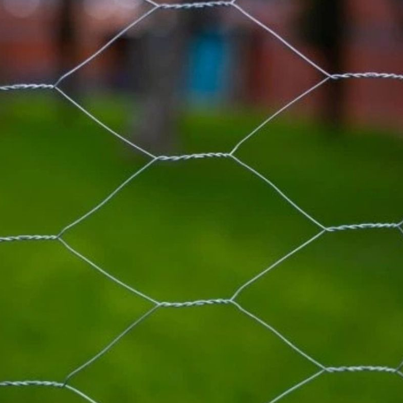 Tela Galinheiro 1,50 x 35 Metros Fio 23 Arame Galvanizado - Galinheiro, Horta, Jardim