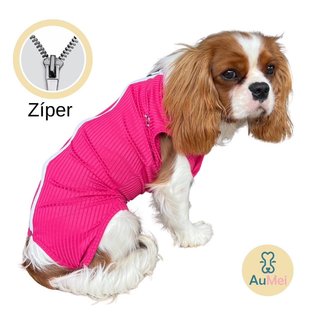 Body Pós Cirúrgico: Onde Comprar | BuscaProdutos