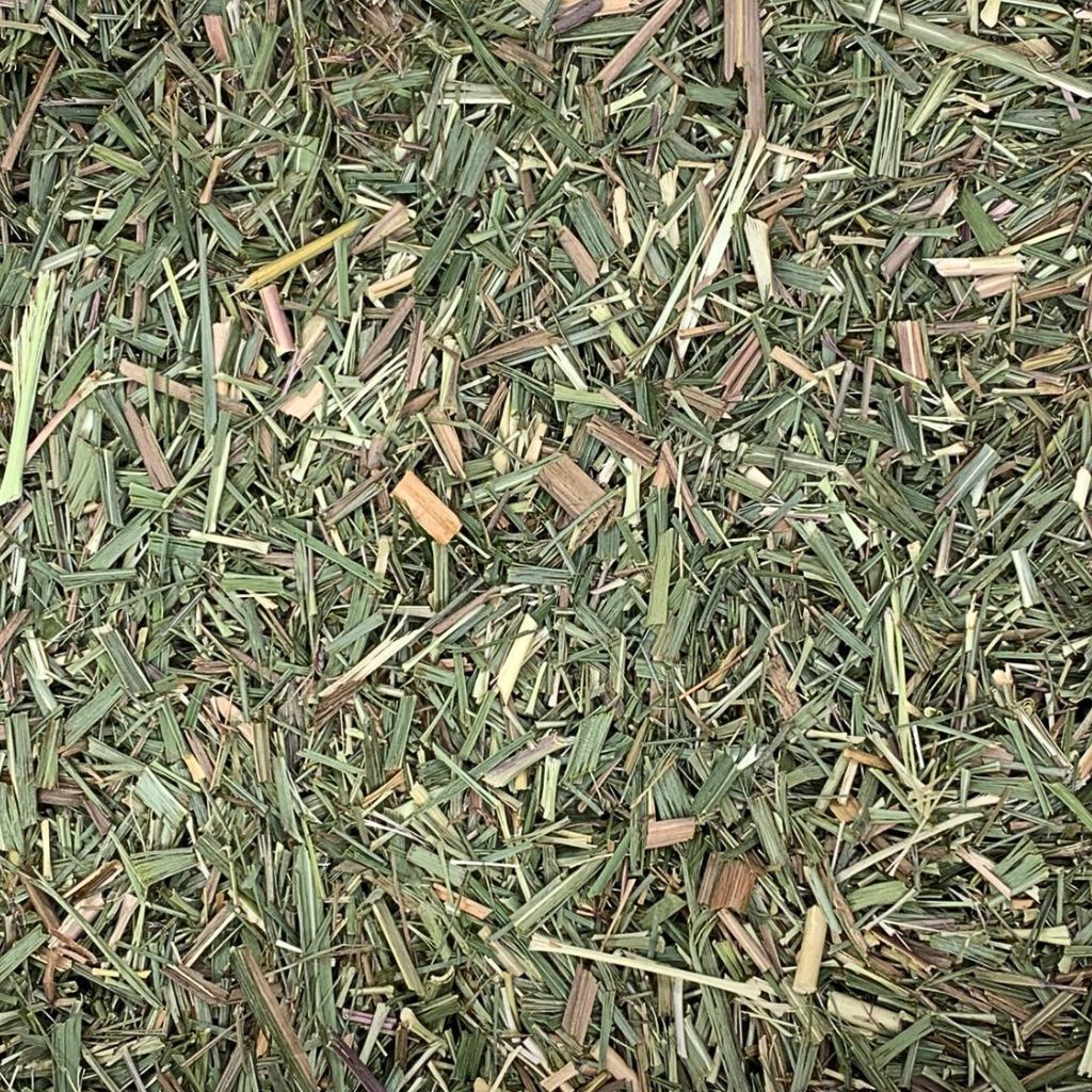 Capim Cidreira Picado · foto 2