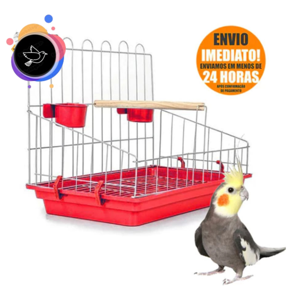 Gaiola Poleiro de Madeira Aberta Para Calopsita Papagaio Maritaca Ring Neck Aves Mansas Completa
