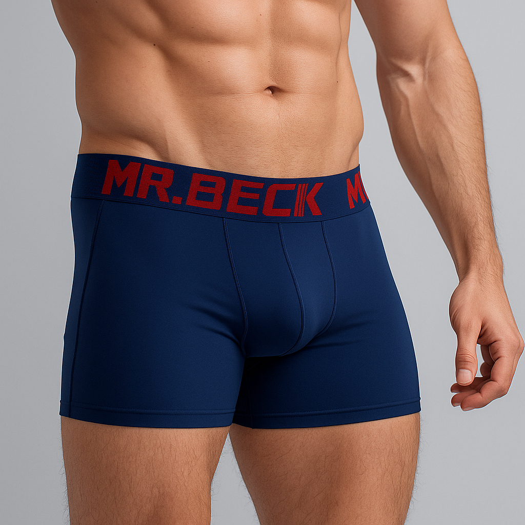 Kit Com 10 Cueca Boxer Adulto Box Microfibra Adulto MR.BECK