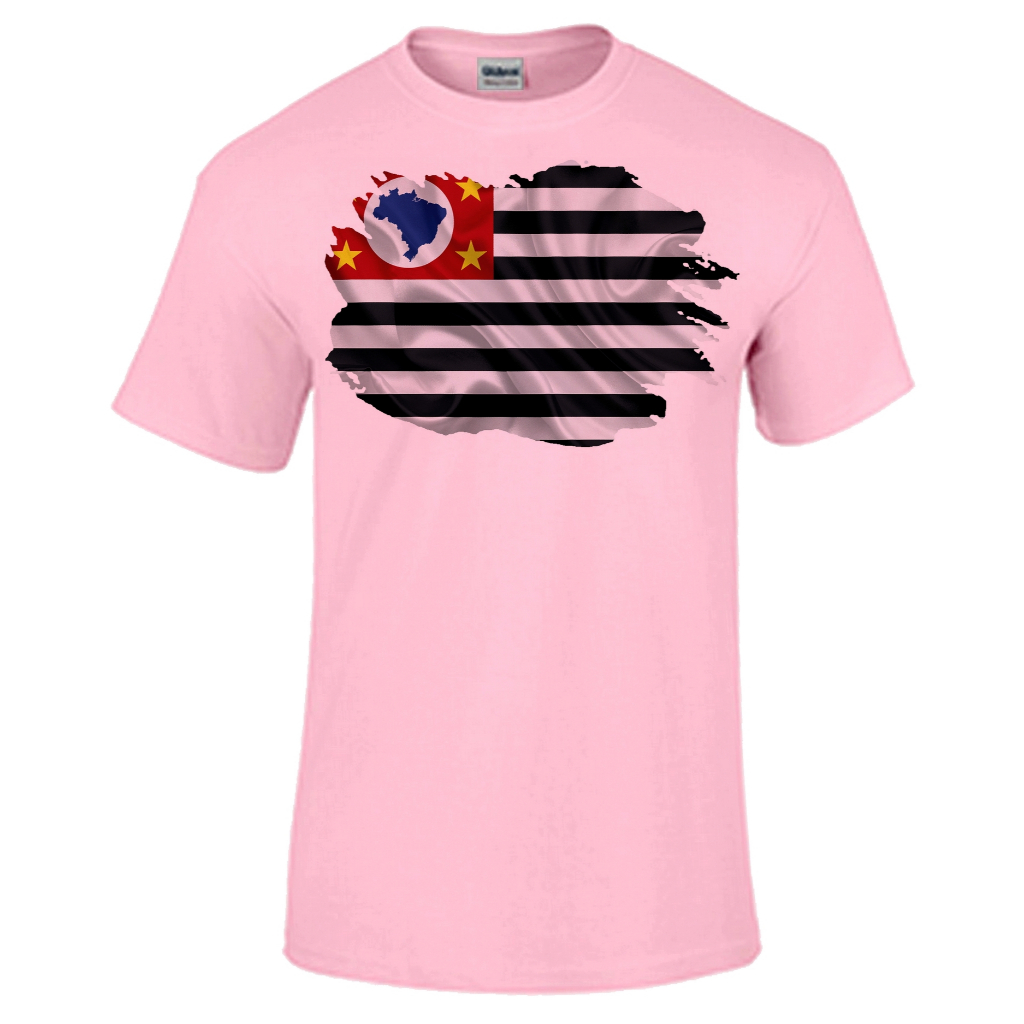 Camiseta infantil ou adulto ou plus size bandeira são paulo estado