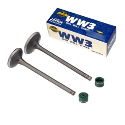 Kit Válvulas + Retentor Verde WW3 Honda CBX 200 1994 a 2002