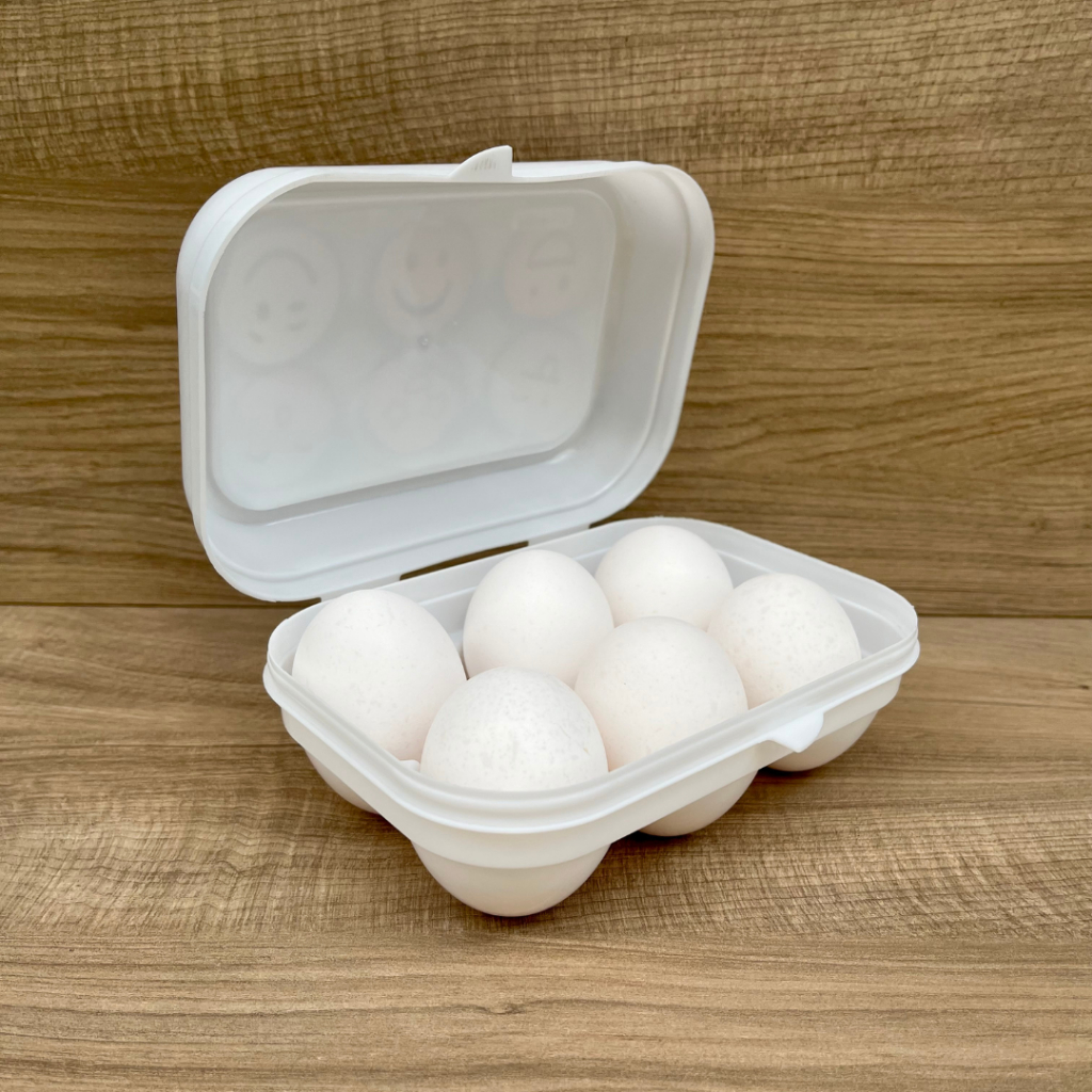 Porta Ovos com Tampa 6 Unidades Organizador de Geladeira Prático e Resistente — imagem 2 de 2